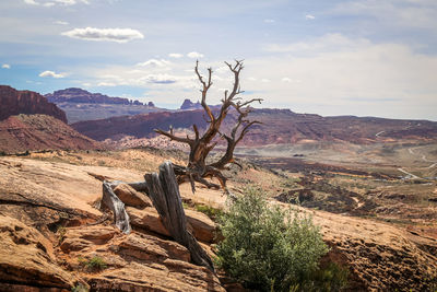 Scenic view of landscape against sky