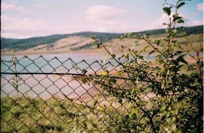 Close-up of chainlink fence at lakeshore against sky