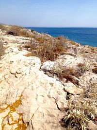 Scenic view of sea against clear sky