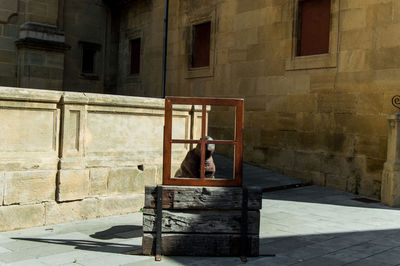 Woman sitting outside building