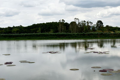 Scenic view of lake against sky