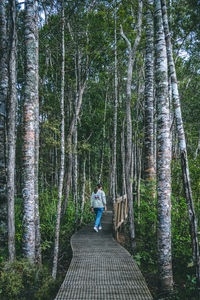 Rear view of man standing by trees in forest