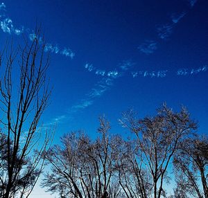 Low angle view of bare trees against blue sky