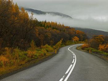 Winding road at hallormsstaðaskógur forest in east iceland