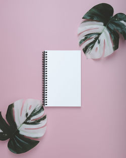 High angle view of pink flower on table