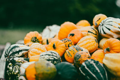 Close-up of pumpkins in market