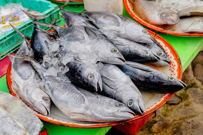 High angle view of fish for sale at market