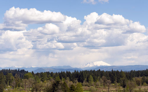 Scenic view of landscape against sky