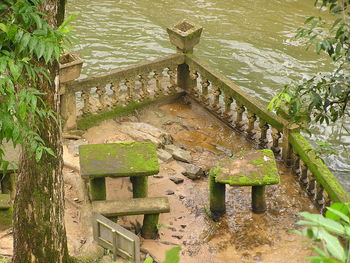 Plants in water