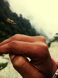 Close-up of cropped hand holding cigarette