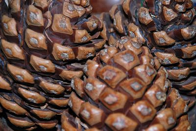 Full frame shot of roasted coffee beans at market