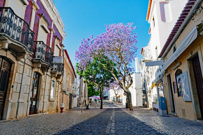 Street amidst buildings against sky