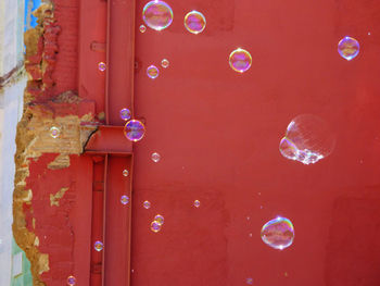 Close-up of bubbles against red wall