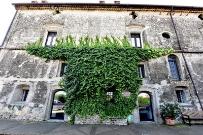 Facade of building