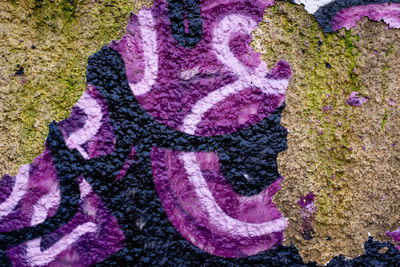 High angle view of multi colored painted on rock