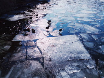 High angle view of frozen lake during winter