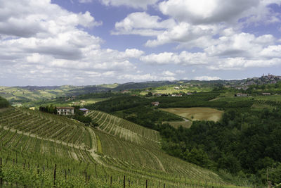Scenic view of agricultural field against sky