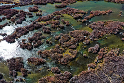 Aerial view of sea