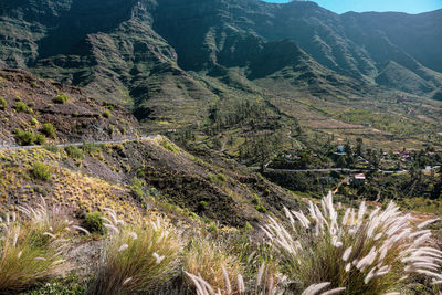 High angle view of trees on mountain