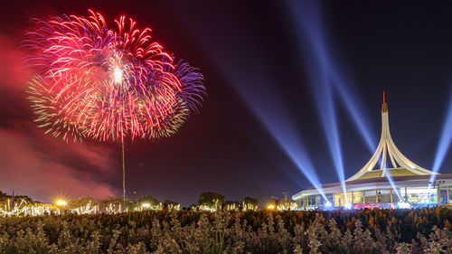 Low angle view of firework display at night