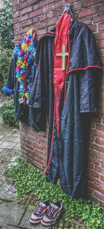 Close-up of multi colored leaves