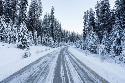 Snow covered trees against sky