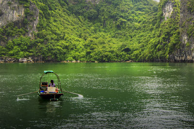 Scenic view of river amidst trees