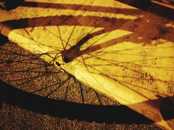 High angle view of butterfly on leaf