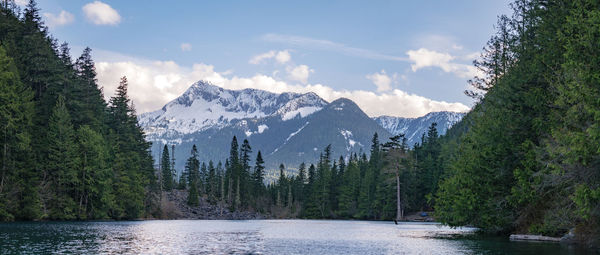 Scenic view of lake by trees against sky