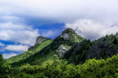 Low angle view of trees on mountain against sky