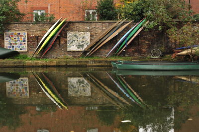 Reflection of trees in water