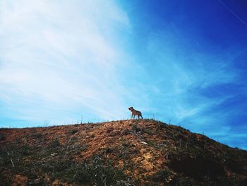 Low angle view of man climbing on mountain against sky