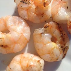 Close-up of shrimps