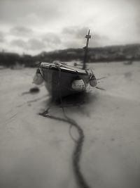 Close-up of plant against blurred background