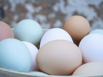 Close-up of eggs in container