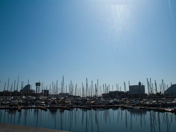 Sailboats in marina