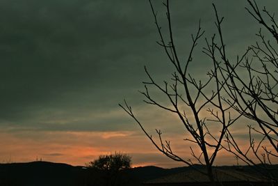 Low angle view of silhouette tree against dramatic sky