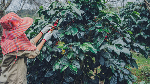 Midsection of woman holding plant against trees