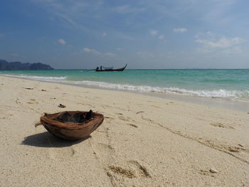 Coconut shell at sandy beach