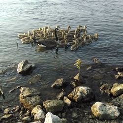 Stones in water