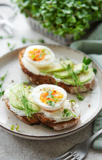 Bread toast, boiled eggs, avocado slice, microgreens on a plate, breakfast time