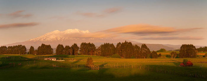 Panoramic shot of agricultural field against sky during sunset