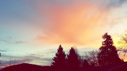 Silhouette trees against sky at sunset