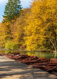 Scenic view of lake in forest during autumn