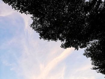 Low angle view of silhouette tree against sky