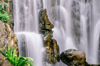 Scenic view of waterfall in forest