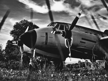 Low angle view of airplane on field against sky