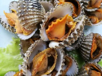 Close-up of seafood in plate