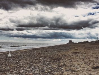 Scenic view of beach against sky