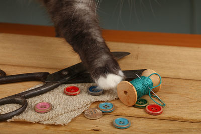 Cropped image of cat by spool and buttons with scissors on table